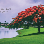 La Vista City Landscape – Copy