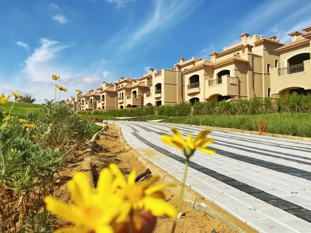 WhatsApp-Image-2021-10-20-at-11.58.26-PM